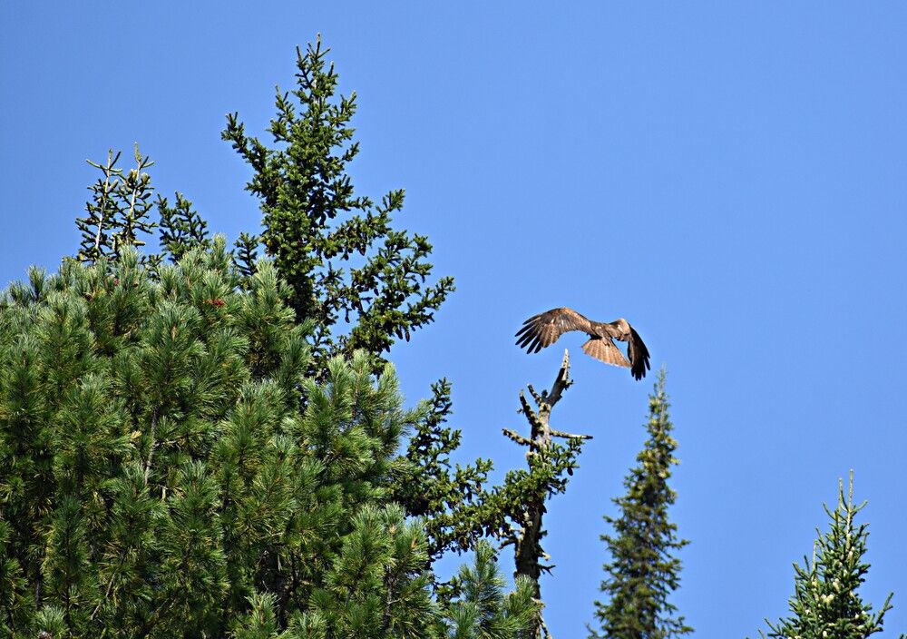 Photograph by Александр Прядко