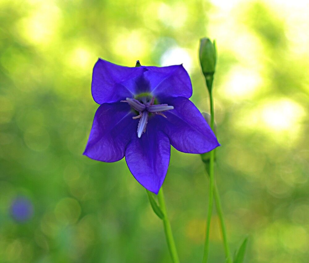 Photograph by Александр Прядко