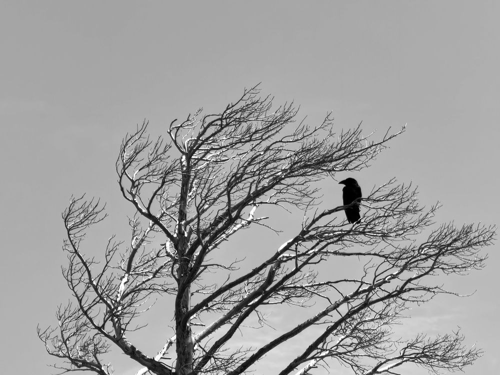 Photograph by Максим Тельтевский