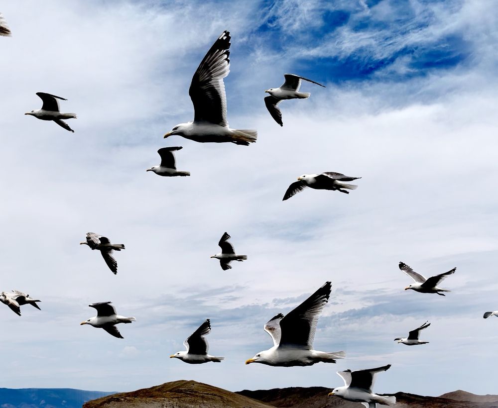 Photograph by Максим Тельтевский