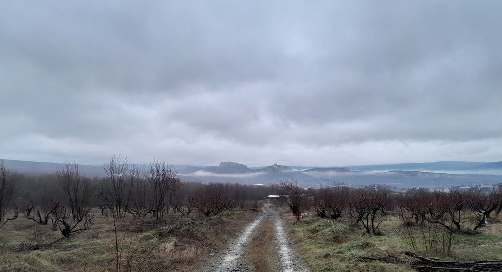 Photograph by Татьяна Ситникова