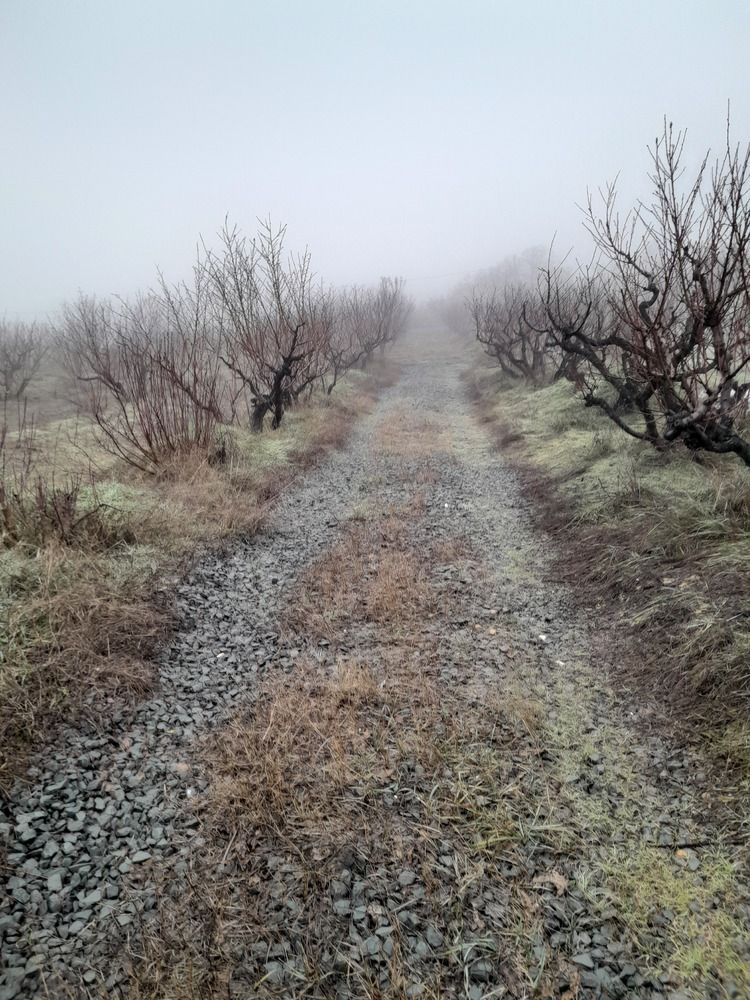 Дорога в никуда...