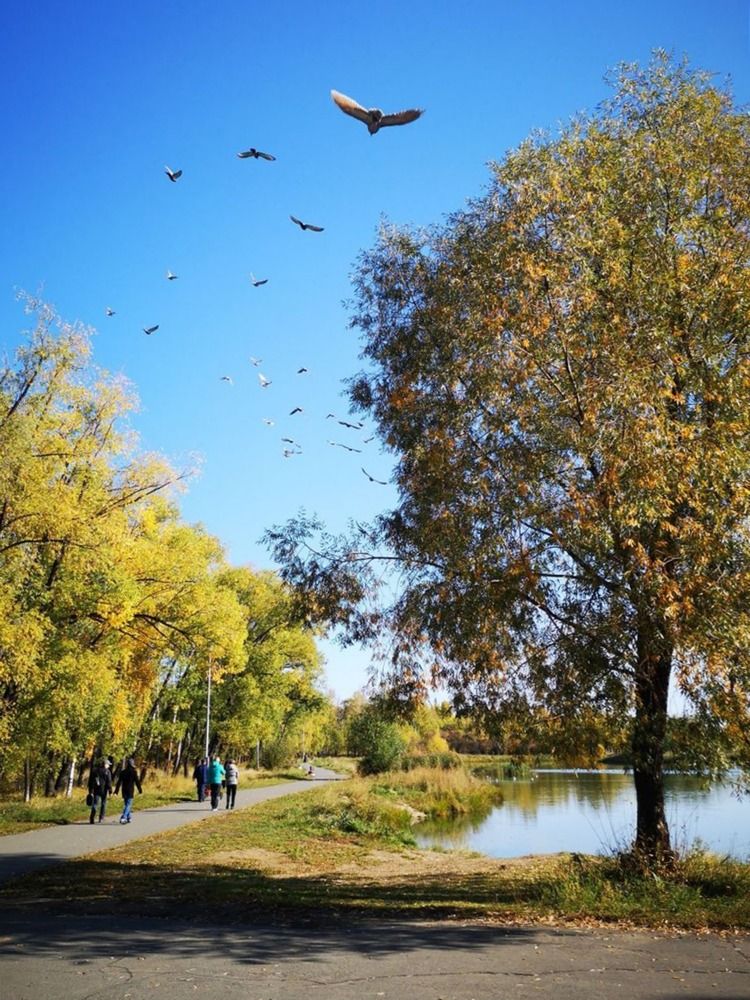 Photograph by Алёна С-К