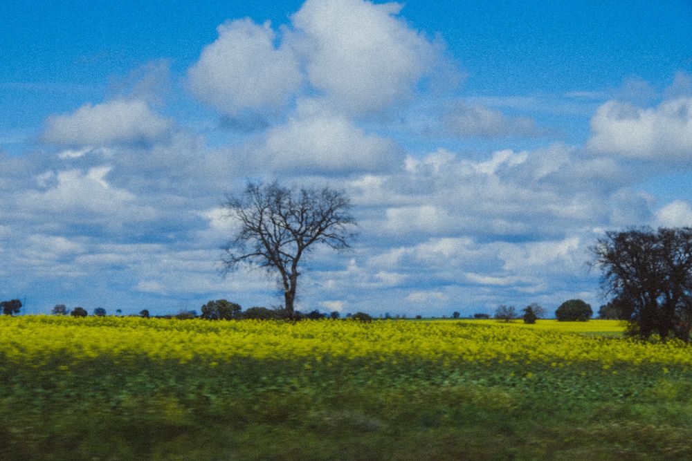 Фотография автора Julia Smilovitsky