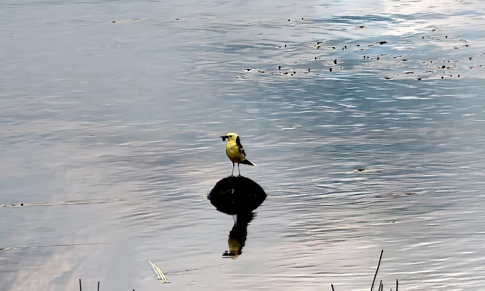 Photograph by Максим Тельтевский