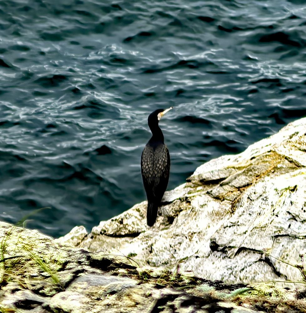 Photograph by Максим Тельтевский