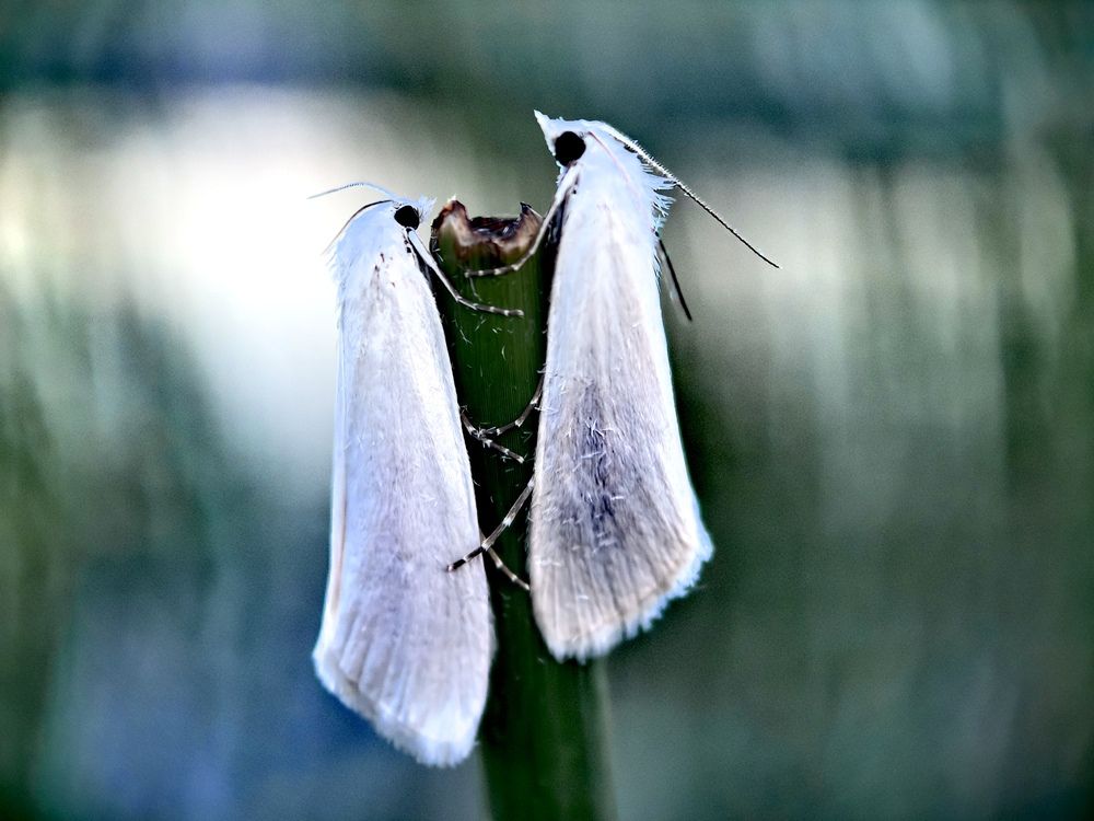 Photograph by Максим Тельтевский