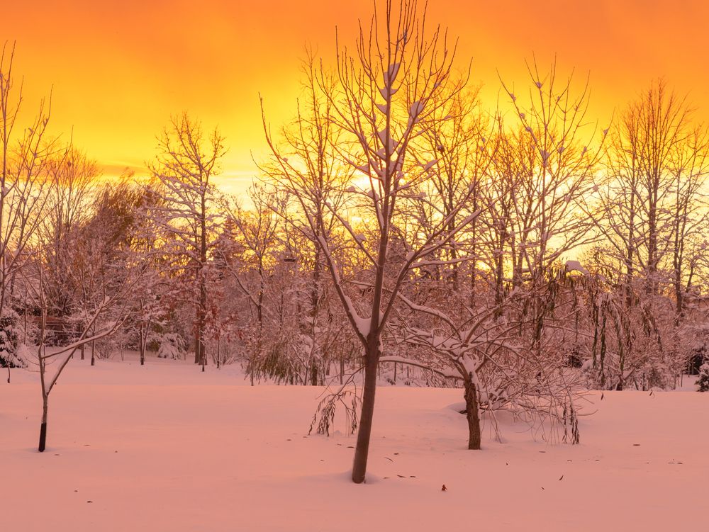 After the storm