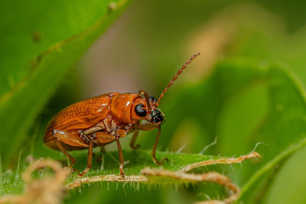 Photograph by mahadevan Arige