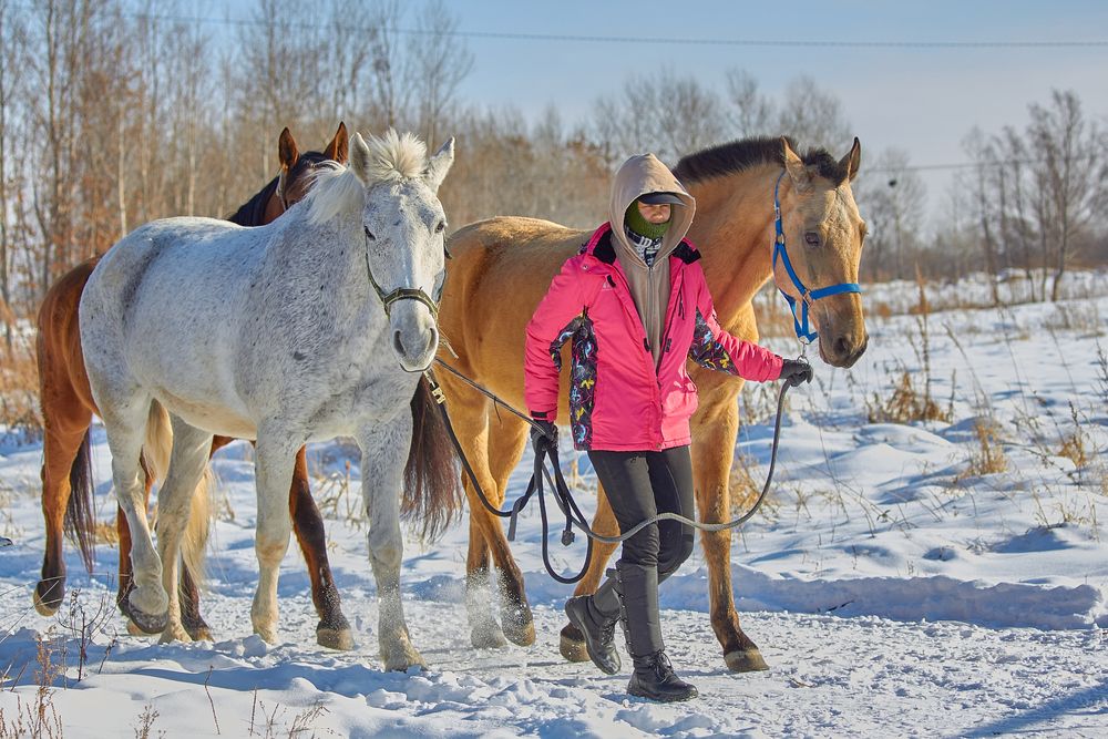 Photograph by Наталия Мащенко