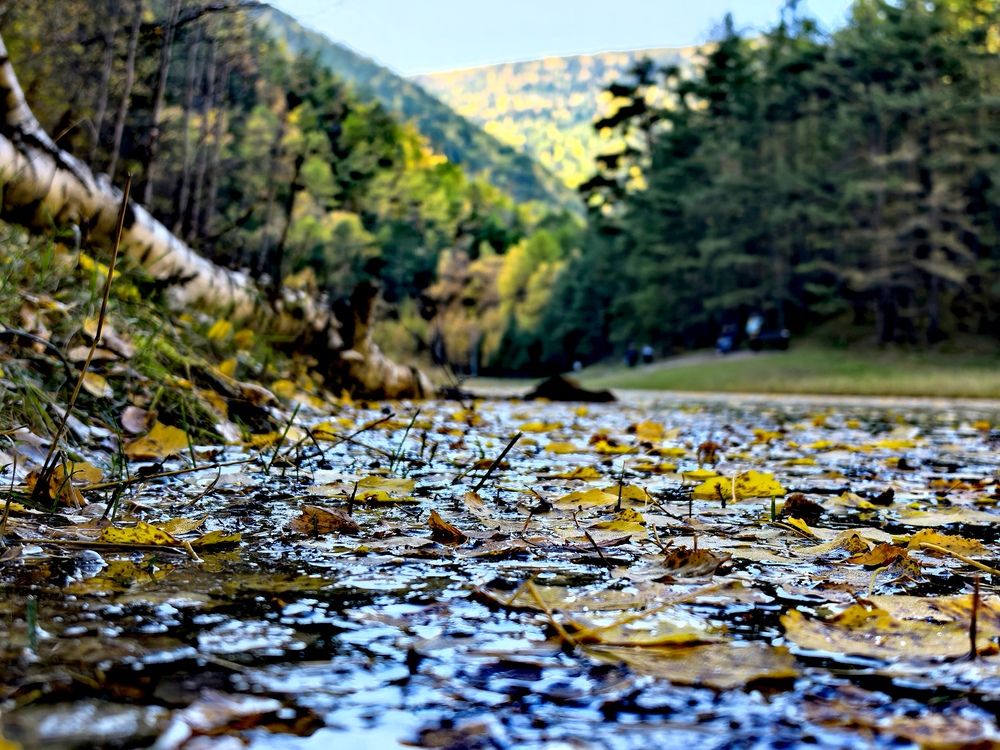 Photograph by Максим Тельтевский