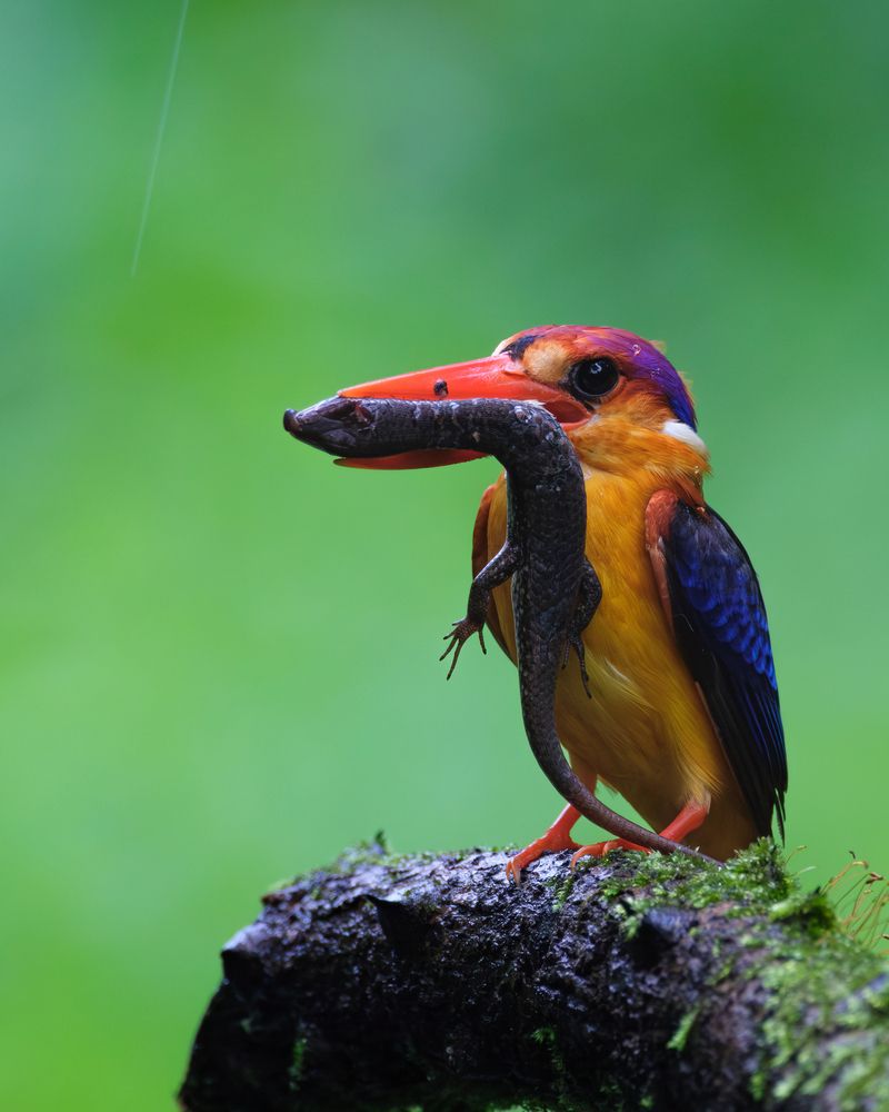 Photograph by anubhav gogoi