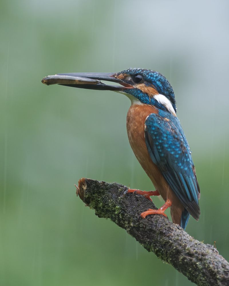 Photograph by anubhav gogoi