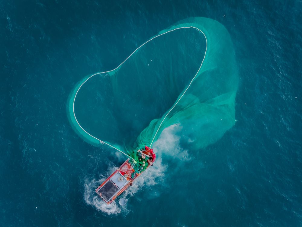 Photograph by Lê Huy Anh