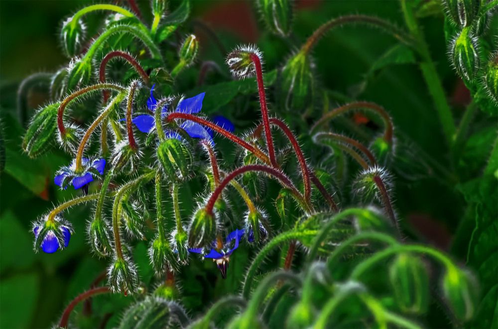 Photograph by Пушкин Сергей