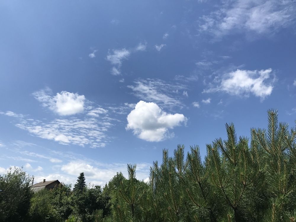 Летний день