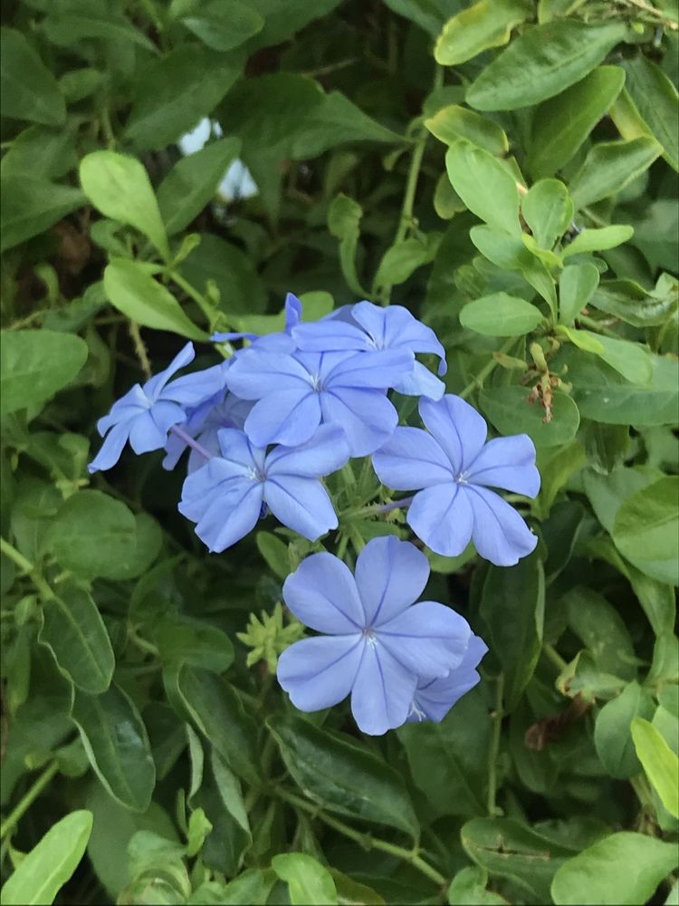 Photograph by Татьяна Гуськова