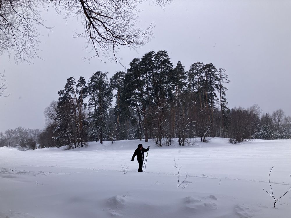 Photograph by Мария Карпычева