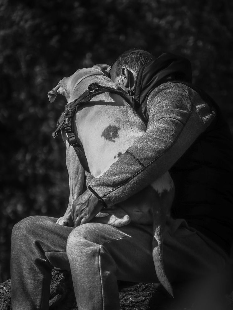 Photograph by Георгий Акопджанов