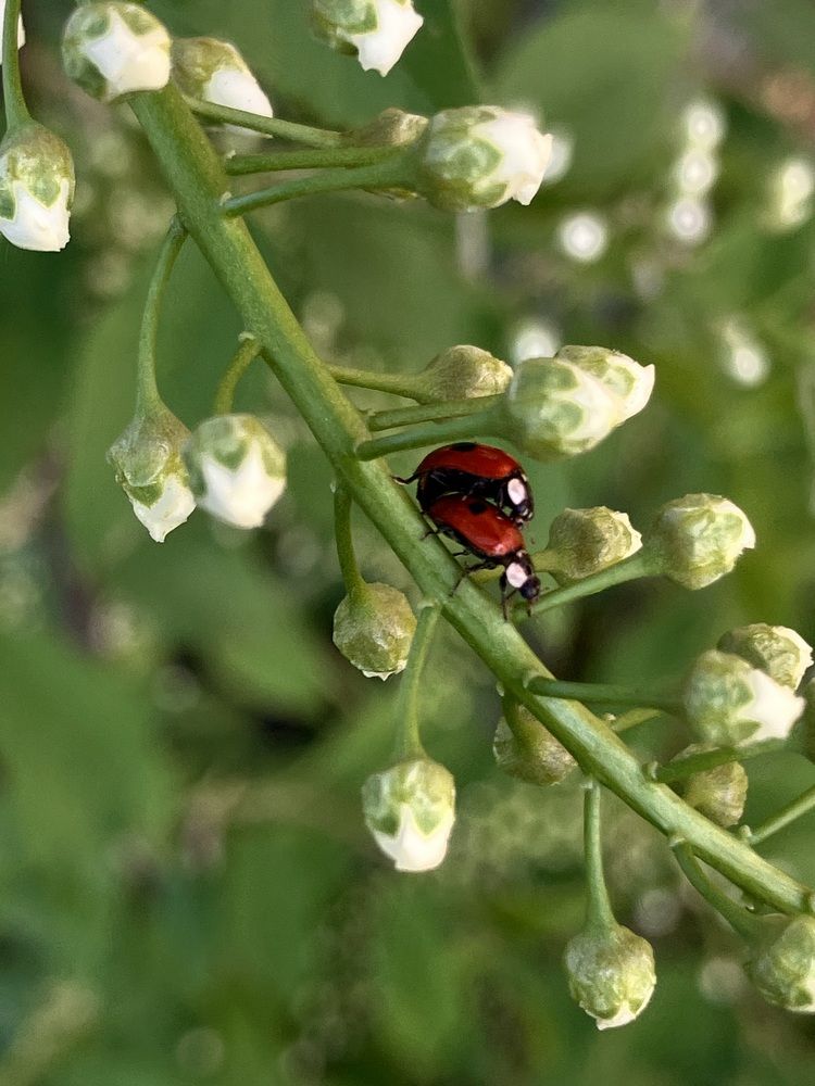 Photograph by Мария Карпычева