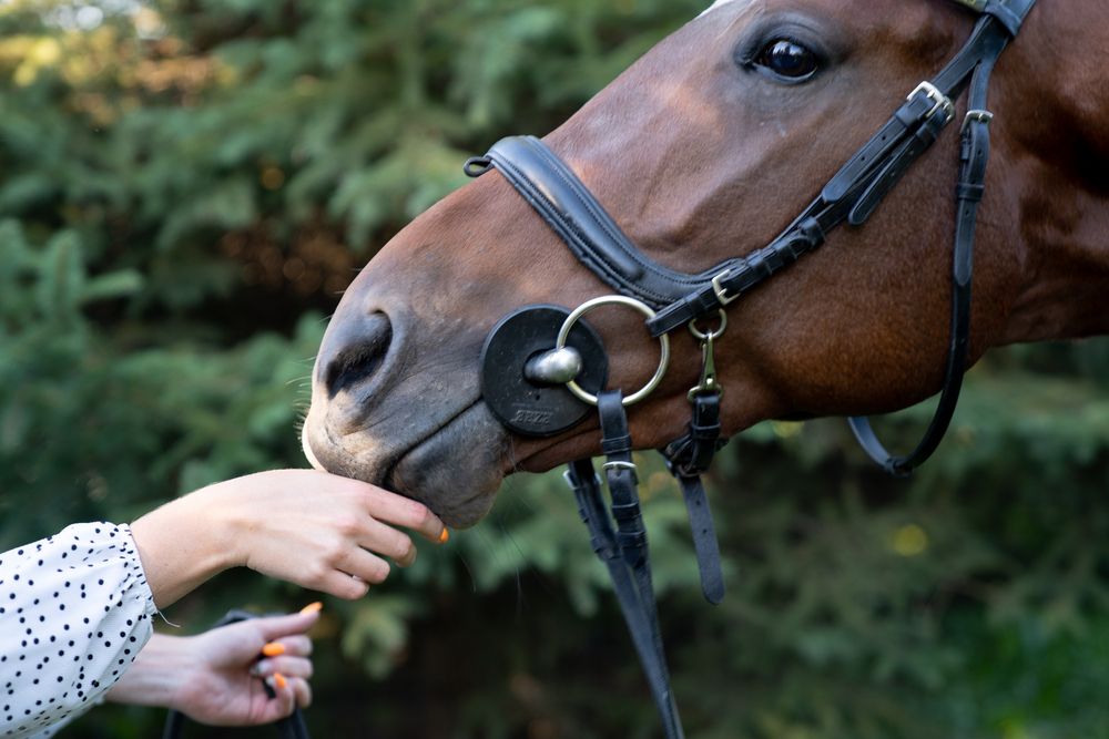 Фотография автора Сергей Флетчер