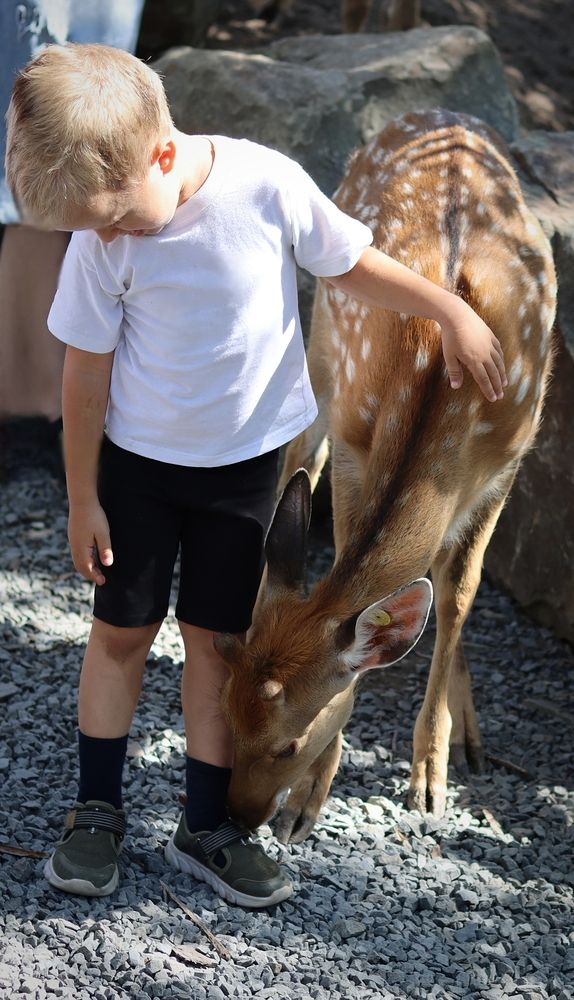 Photograph by Мария Толкачёва