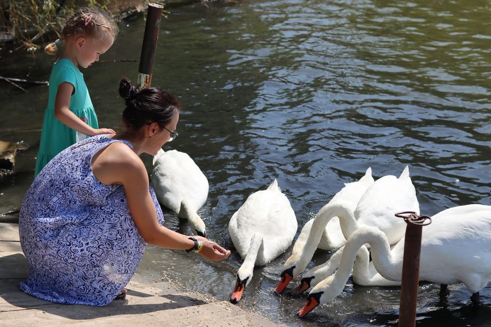 Photograph by Мария Толкачёва