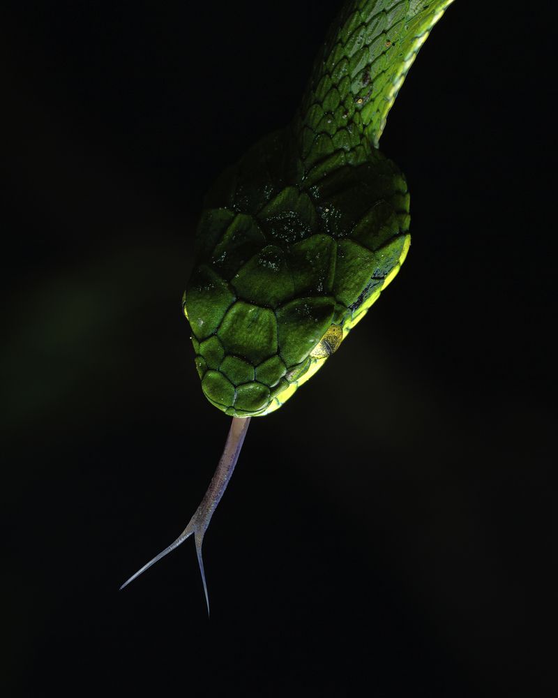 Photograph by madhur nangia
