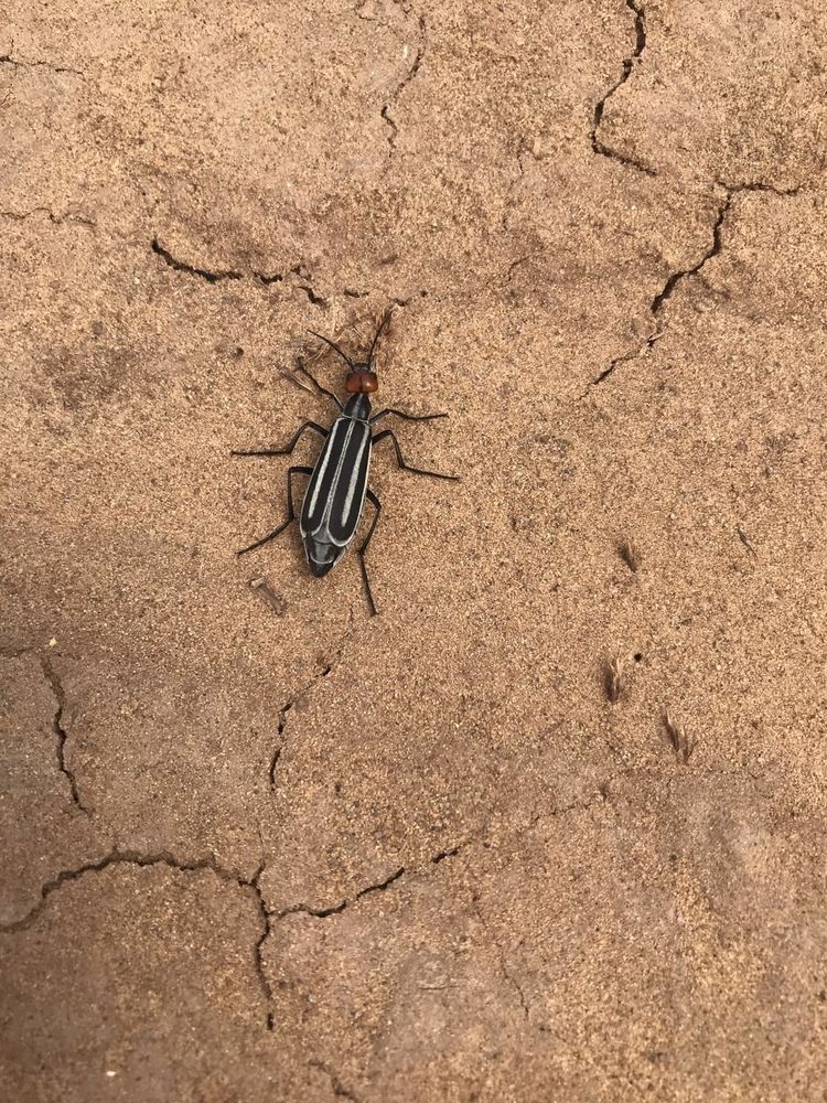 Фотография автора Ol`ga Lukyanova