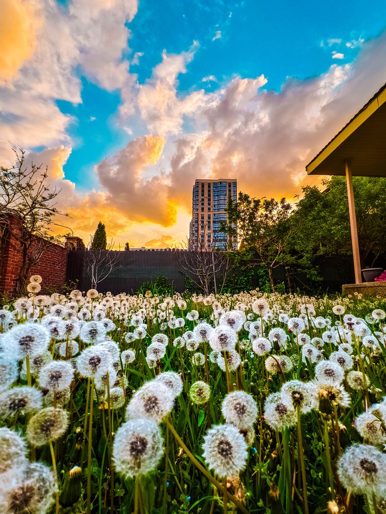 Фотография автора Евгений Былков