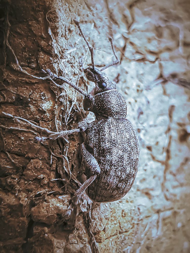 Photograph by Марина Мальцева