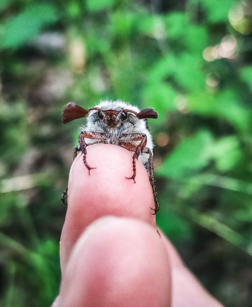 Photograph by Марина Мальцева