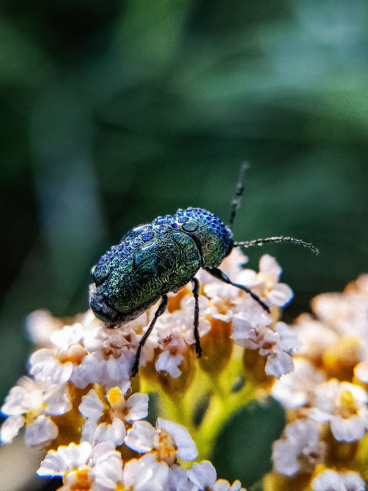 Photograph by Марина Мальцева