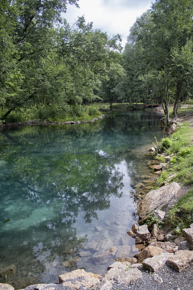 Фотография автора Веста Ягужинская