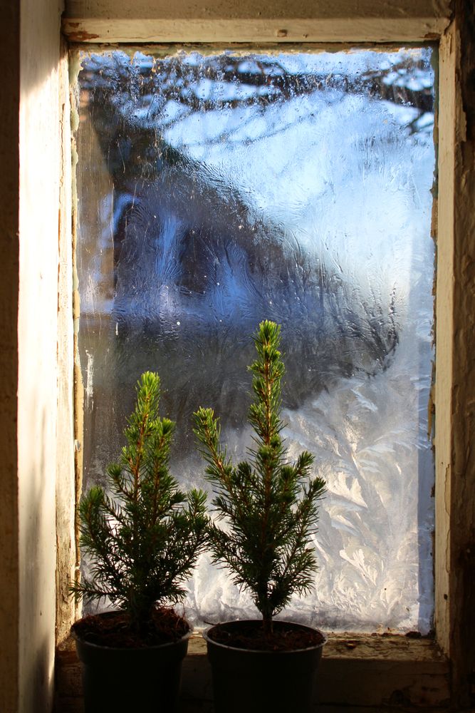 Мороз и солнце.