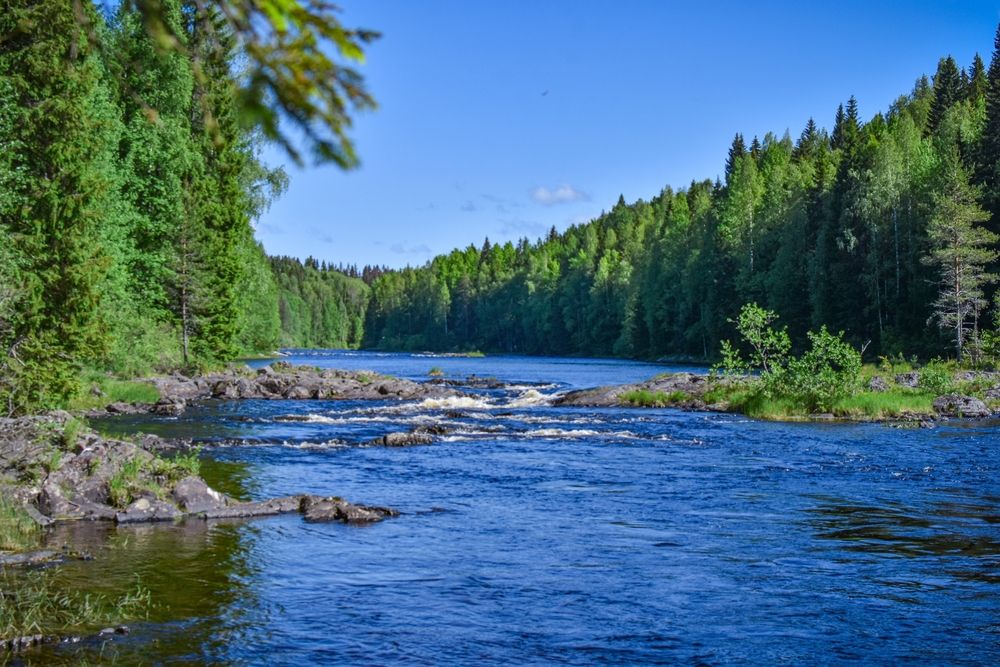 Photograph by Елизавета Турутина