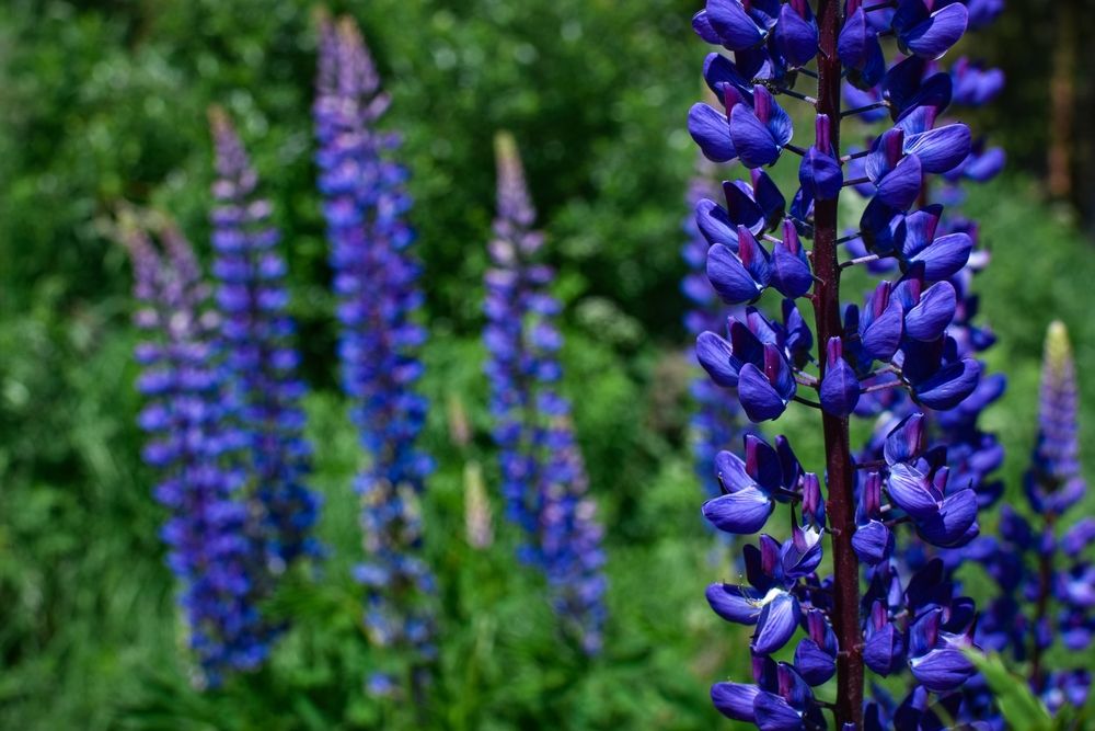 Photograph by Елизавета Турутина