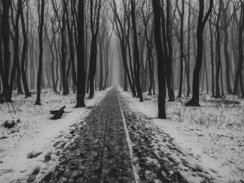 Photograph by Виталий Маслов