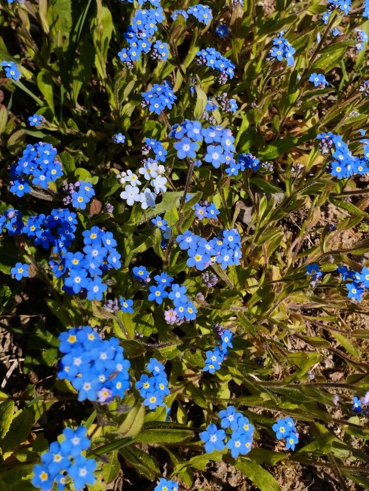 Photograph by Ия Дирко