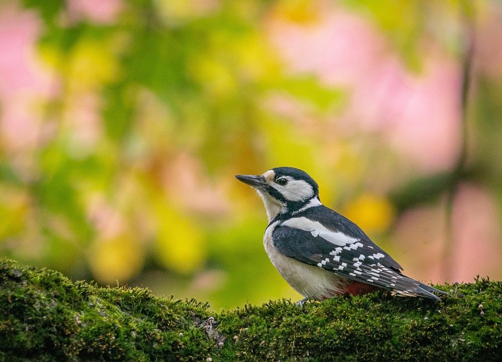 Photograph by Сергей Басов