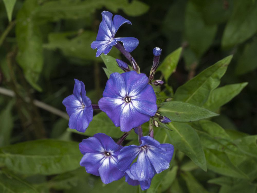 Photograph by Борис Полтавец