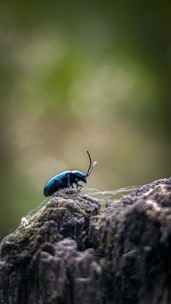 Photograph by Татьяна Гущина