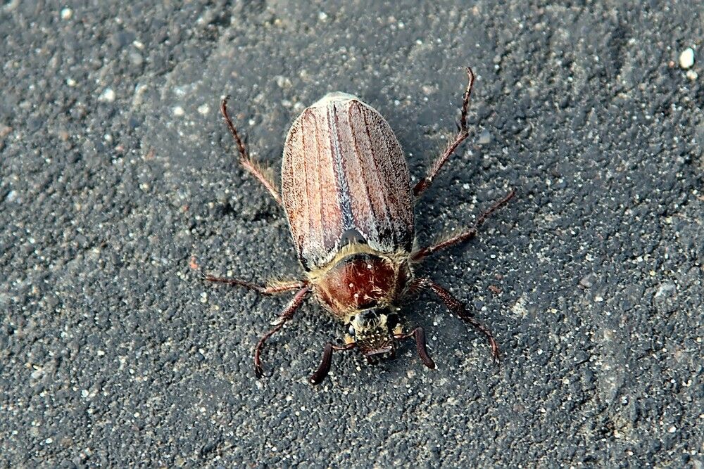 Photograph by Евгений Беленков