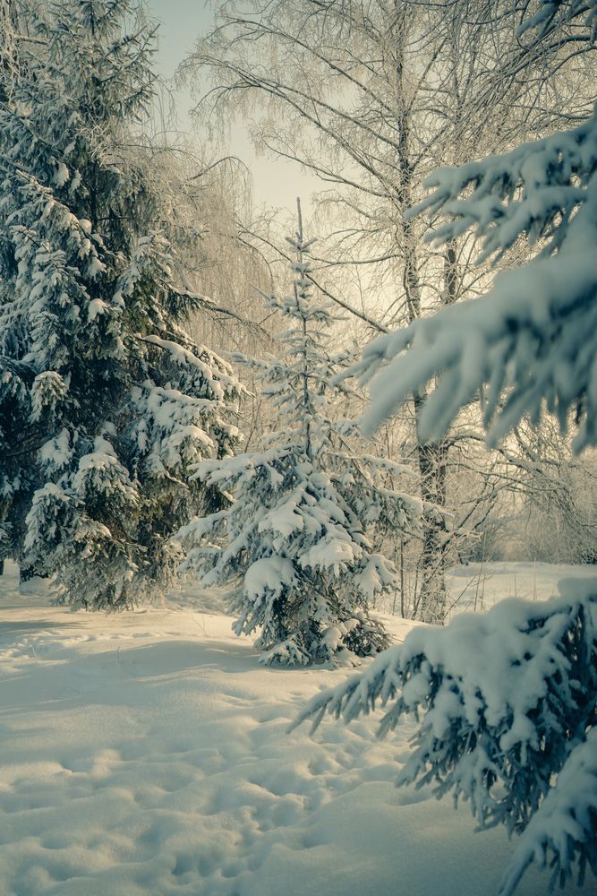 Photograph by Наталья Шкроб