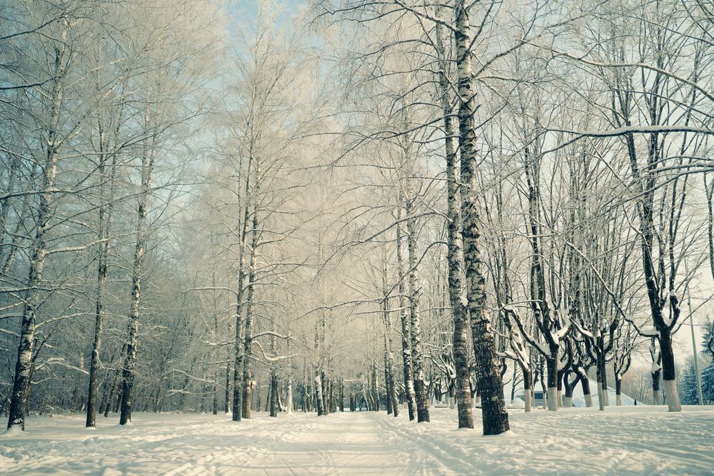 Photograph by Наталья Шкроб