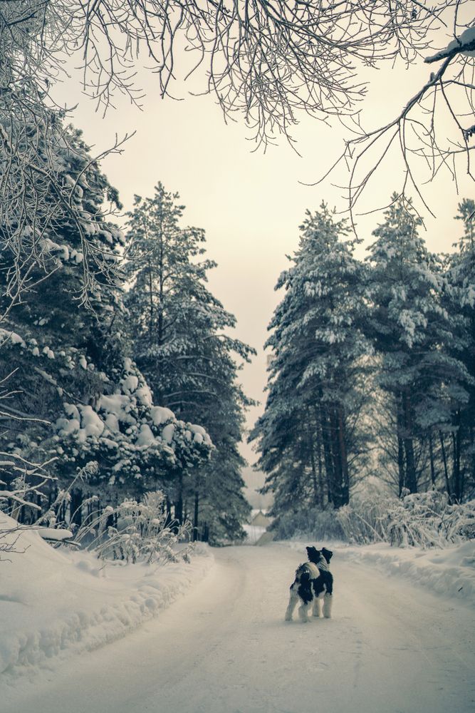 Photograph by Наталья Шкроб