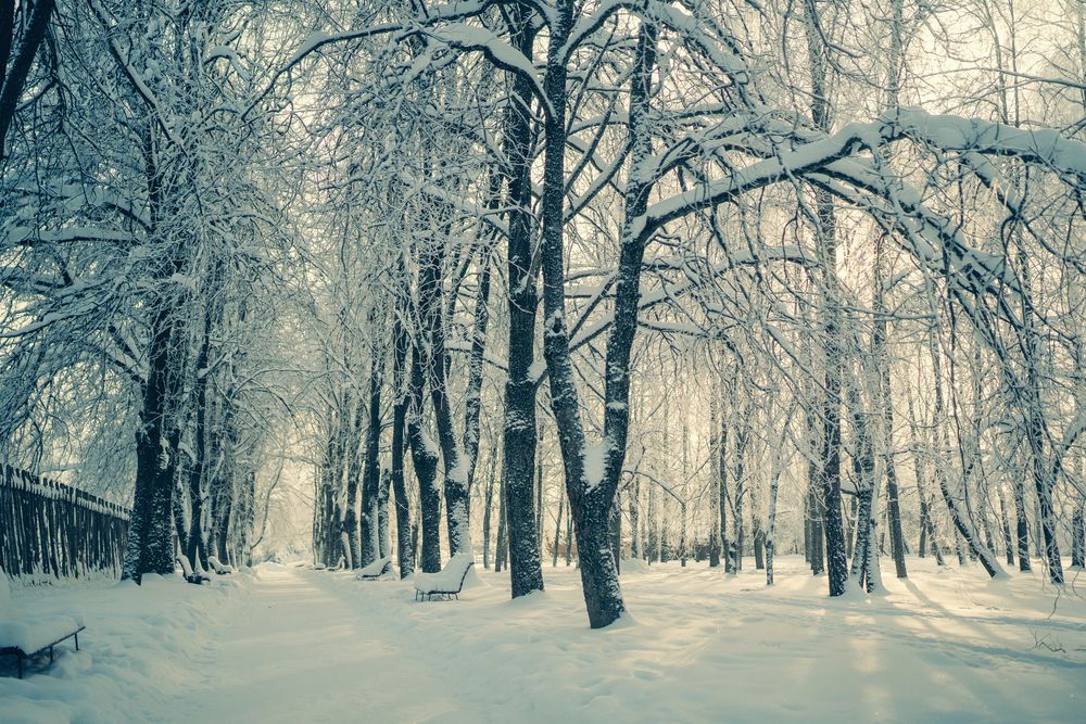 Photograph by Наталья Шкроб