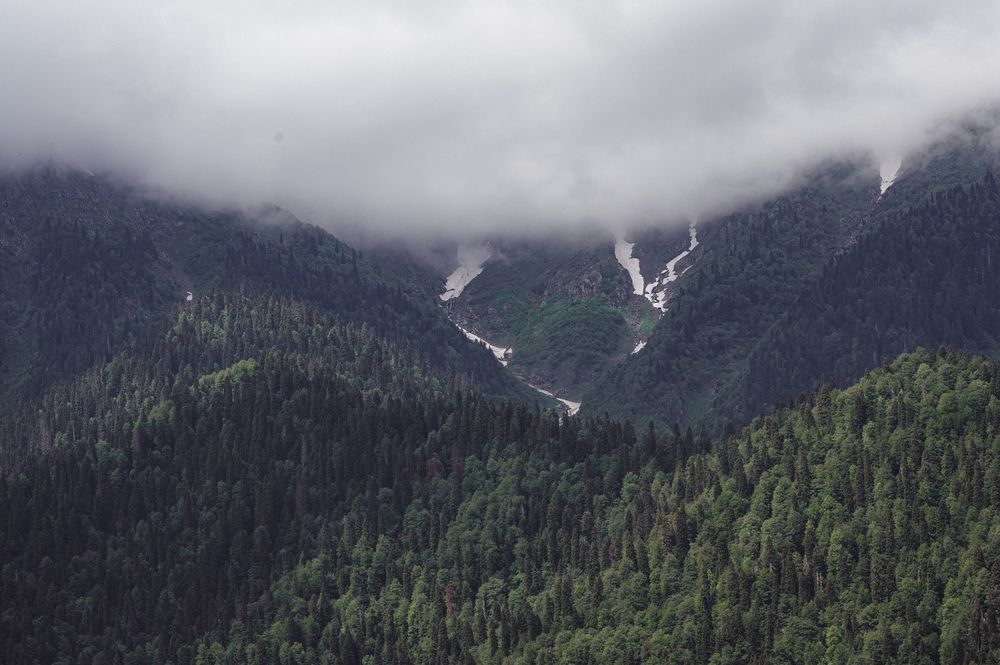 Photograph by Сергей ПЛАТОНОВ