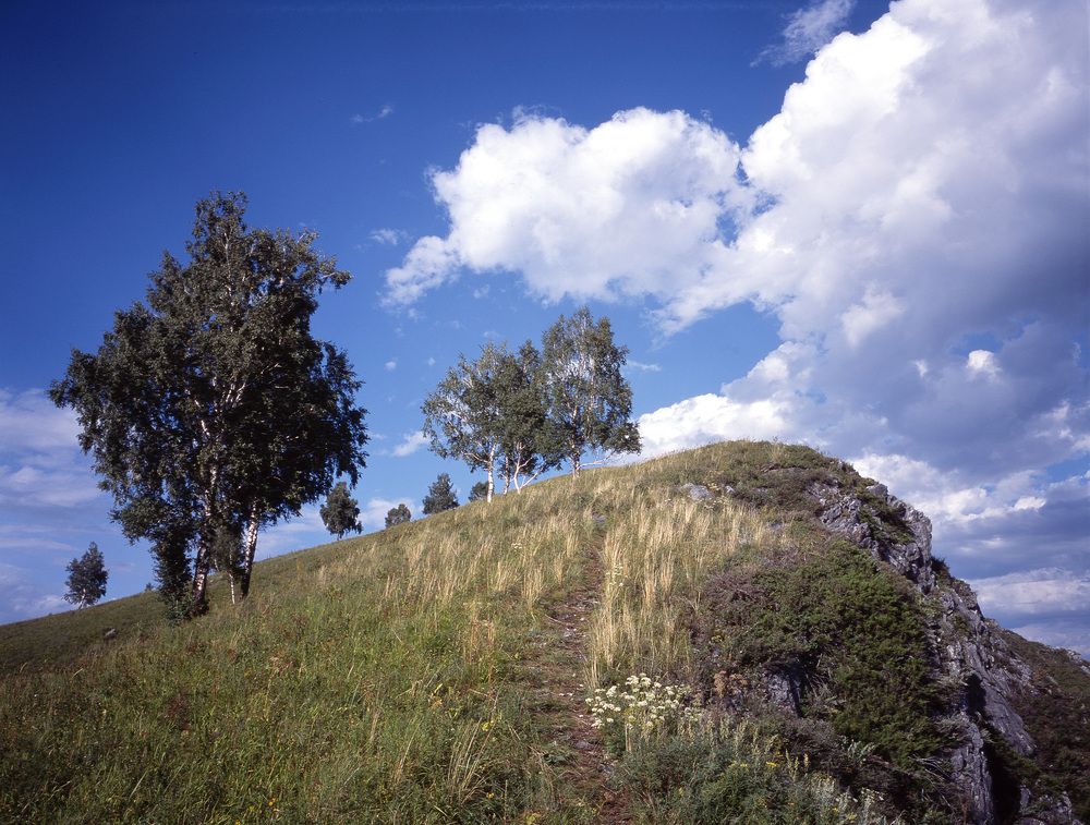 Photograph by Дмитрий Ткаченко