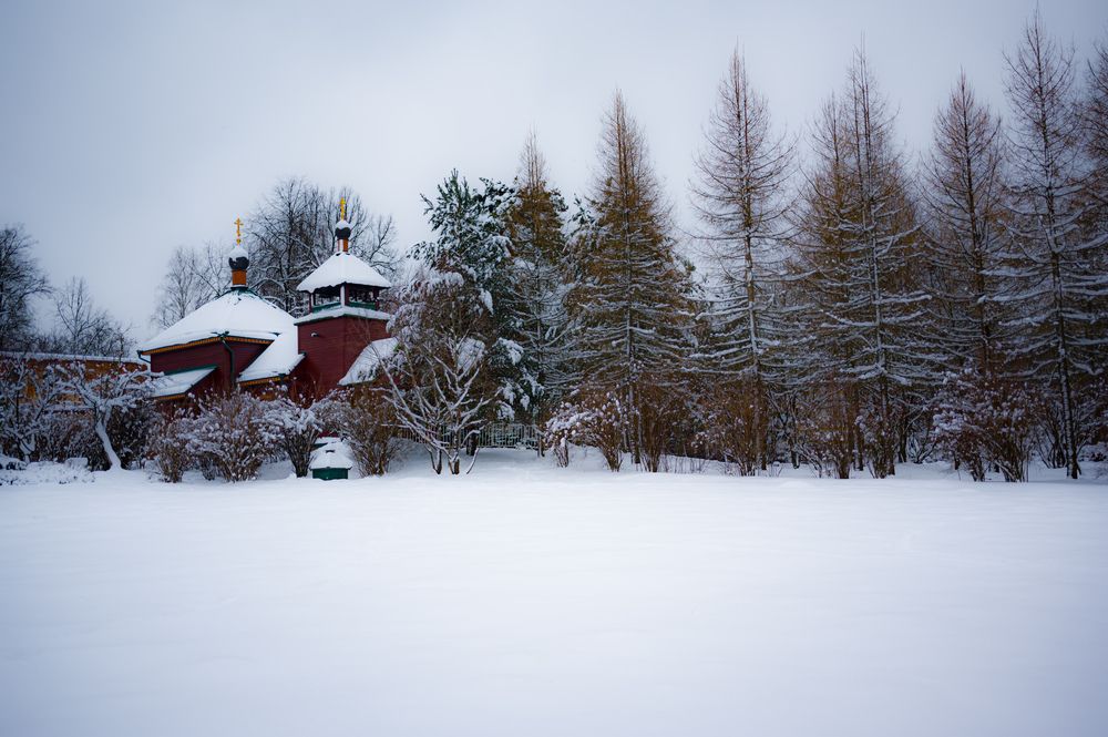 Photograph by Сергей ПЛАТОНОВ